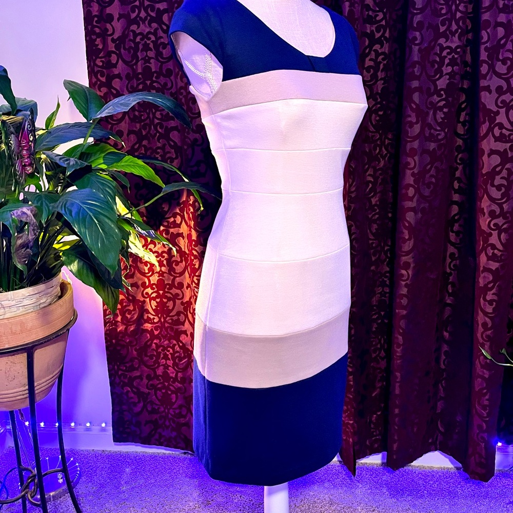 Jax business casual dress Sz 2